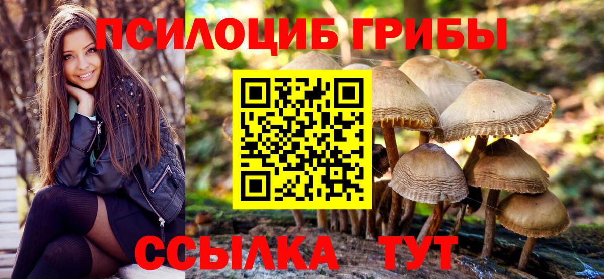 Алейск  Псилоцибиновые грибы мицелий  Вход с VPN 