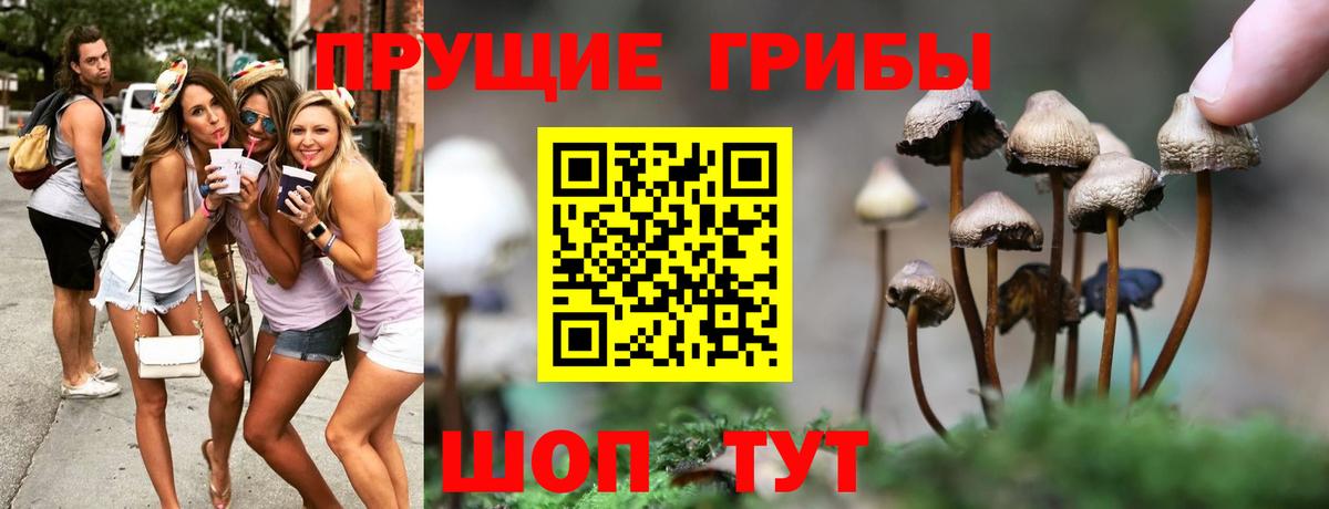 Псилоцибиновые грибы мухоморы Алейск